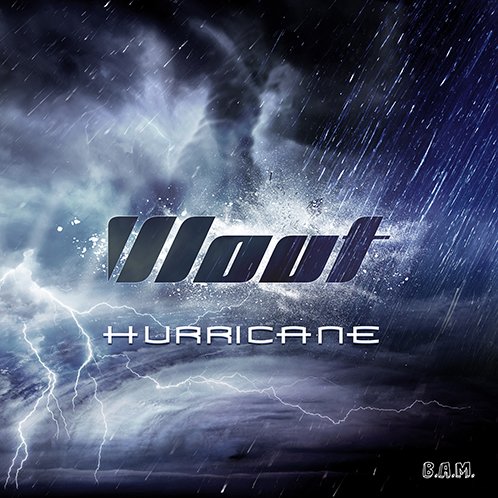 DJ Wout - Hurricane Artwork