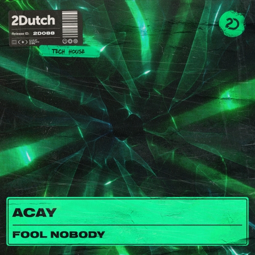 ACAY - Fool Nobody Artwork