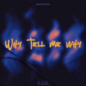 Madticks - Why Tell Me Why artwork