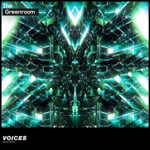 Simon Reiter - Voices artwork