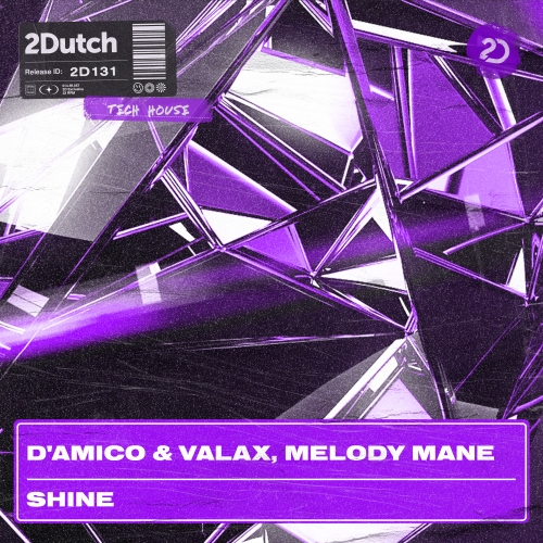 D'Amico & Valax, Melody Mane - Shine artwork