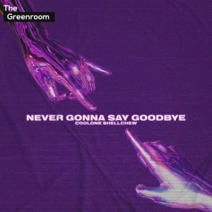 Coolone Shellchew - Never Gonna Say Goodbye artwork