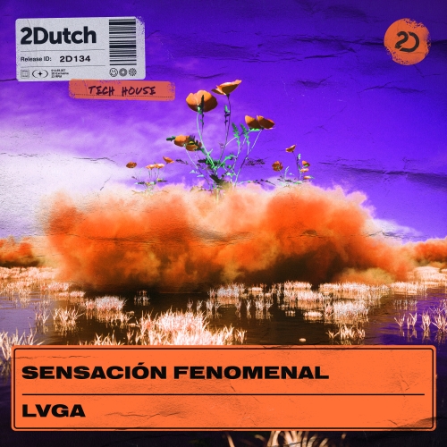 LVGA - Sensación Fenomenal artwork