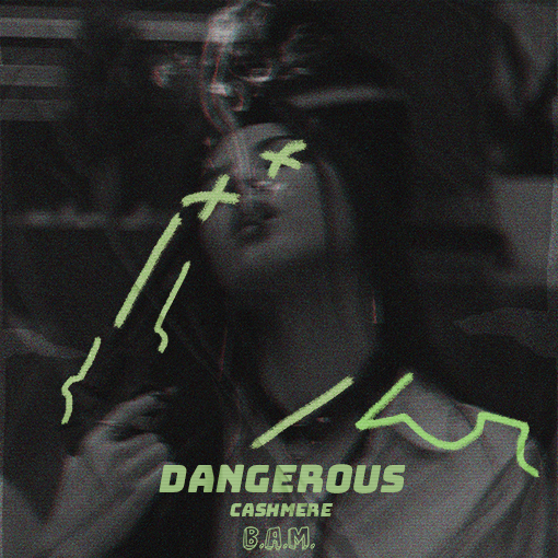 Cashmere - Dangerous artwork