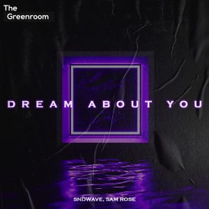 Sndwave, Sam Rose - Dream About You artwork