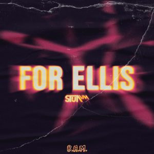 Stijn VM - For Ellis artwork