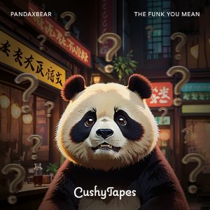 the funk you mean artwork